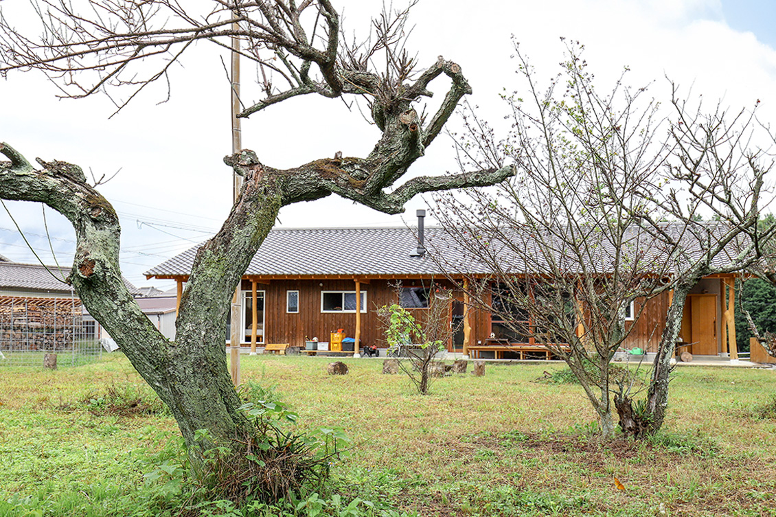 梅の木はお父さまが長く育ててきたもの。畑と同じように手入れや季節の実りも暮らしの一部としての楽しみ。