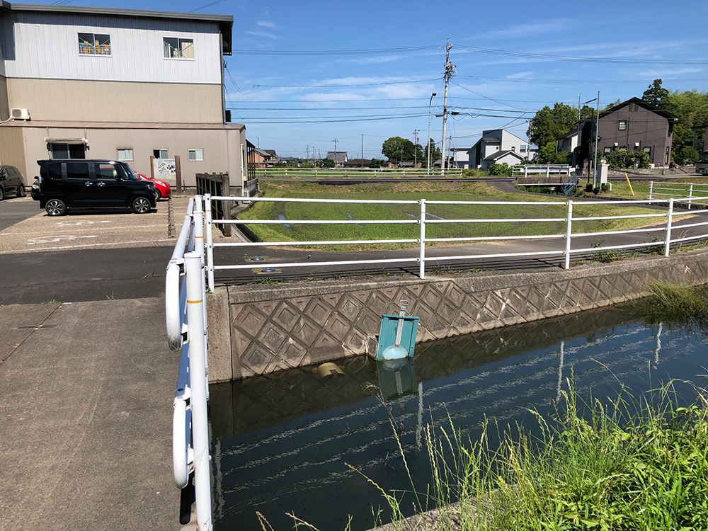 ザリガニ・エビ・小魚・・・