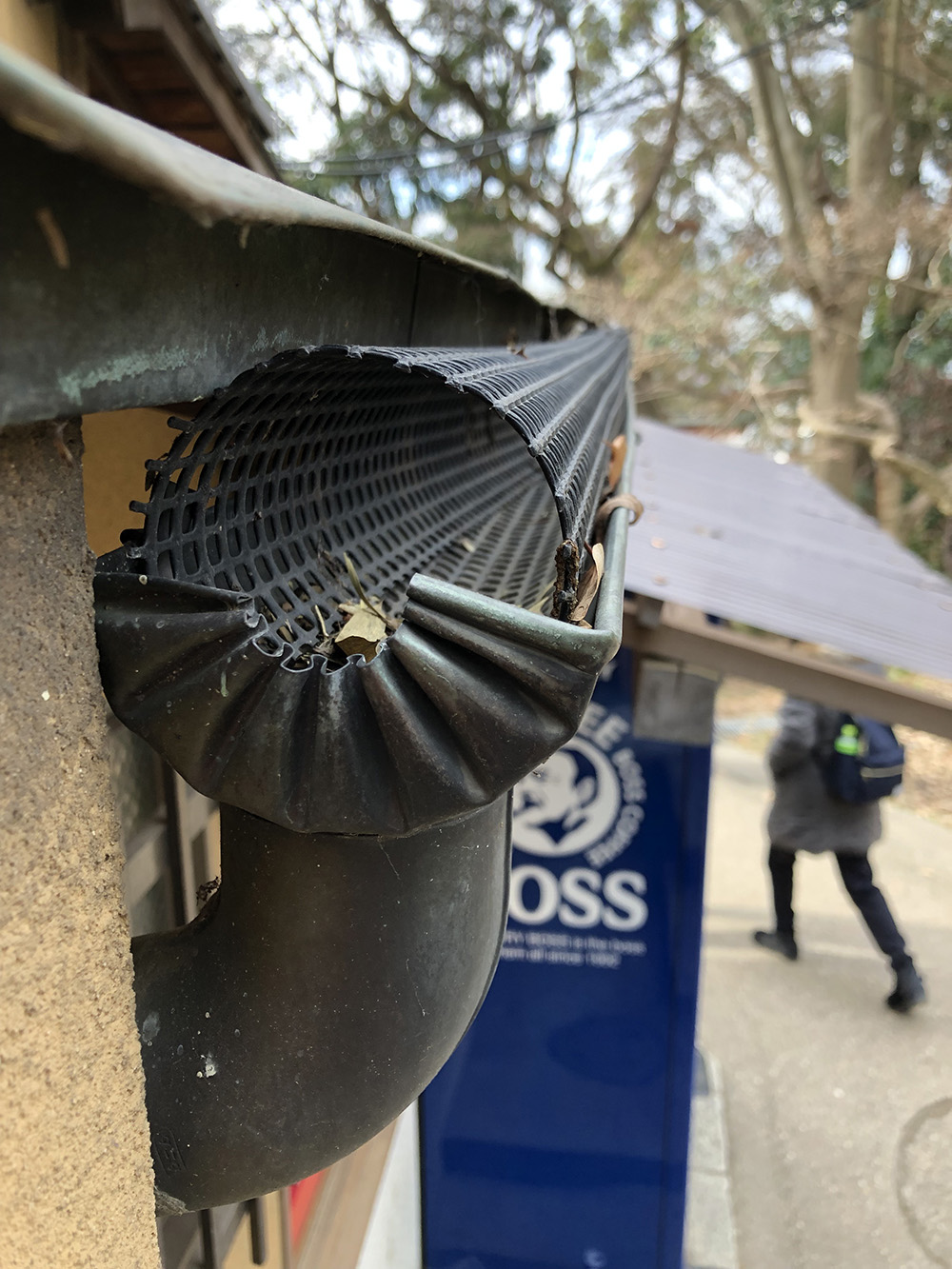 枯れ葉による樋詰まり