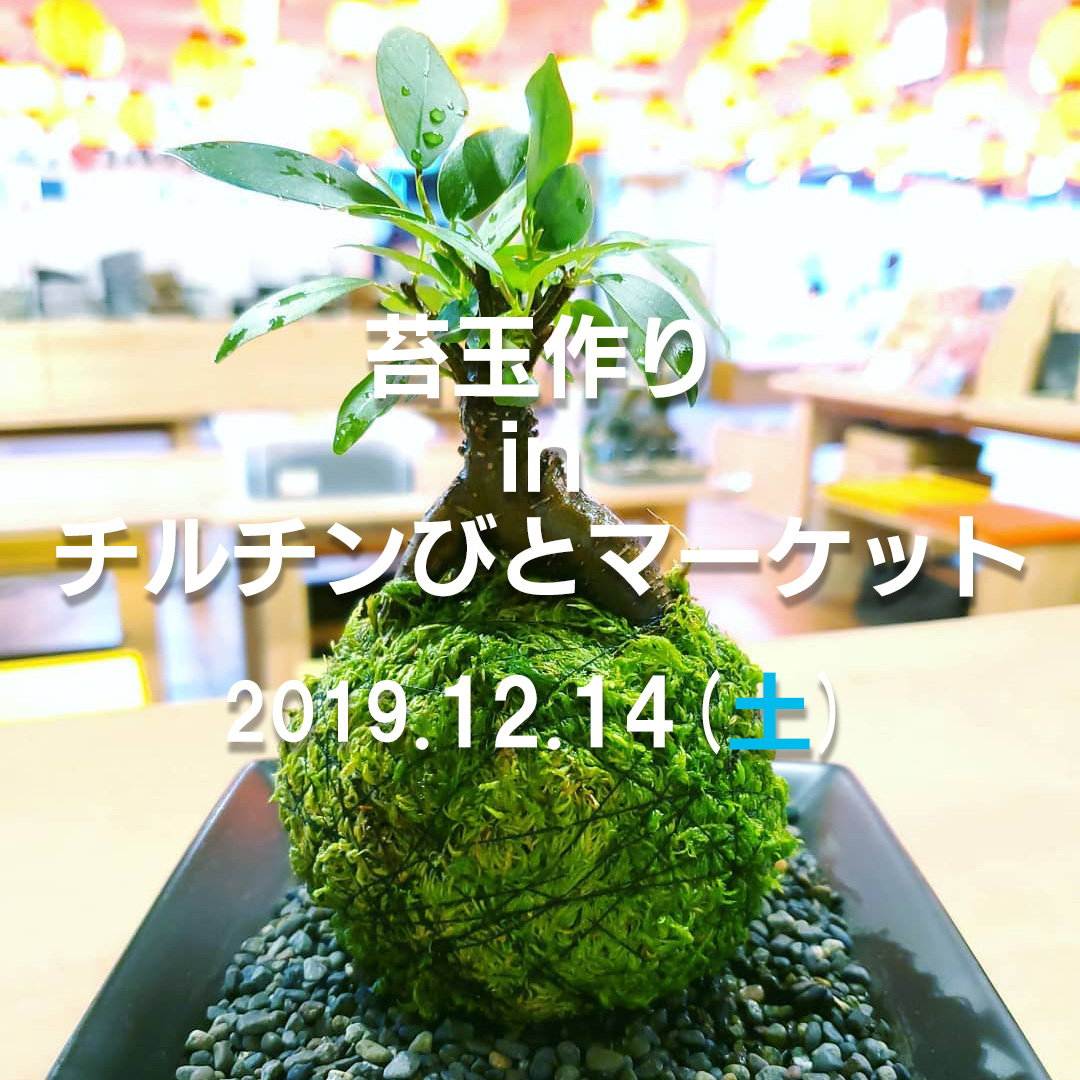 苔玉づくりワークショップ