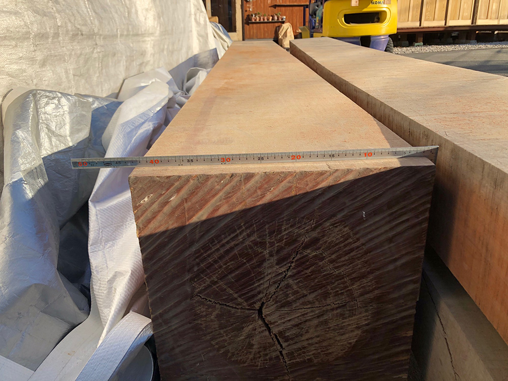 パオローズとブビンガ